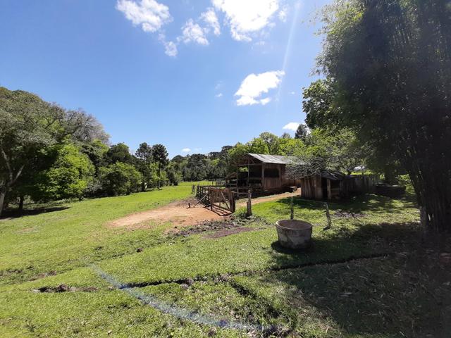 Chácara de 5.3 Alqueires com Pínus e Eucalipto . Guairacá- Guarapuava PR - Foto 3