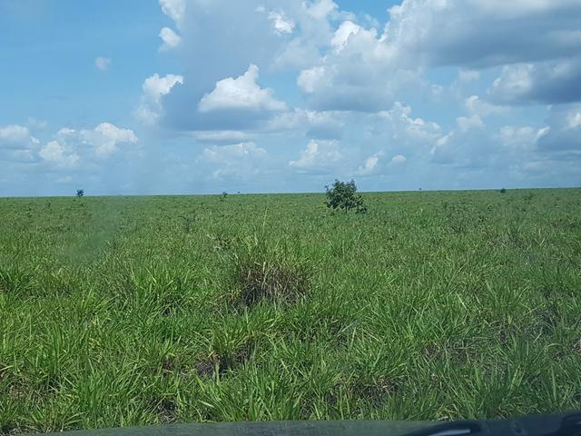 Fazenda 2500 ha Guaraí -TO