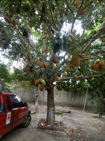 Venda de sitio - Foto 3