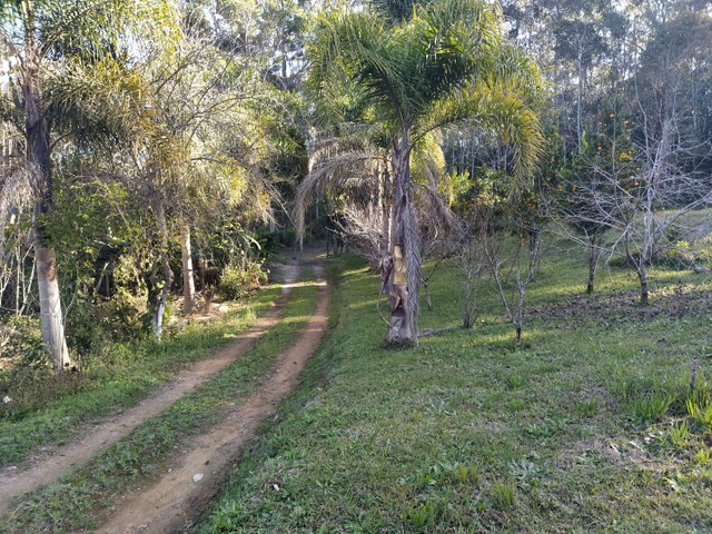 Sitio do Silvino
