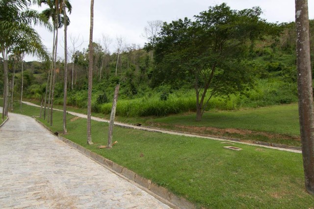 Terreno residencial à venda, Pedro do Rio, Petrópolis.