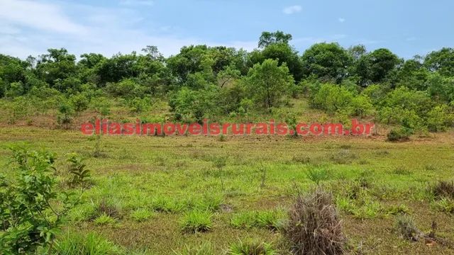 Sítio 5,9 alqueires - Próximo Trevão - Foto 3