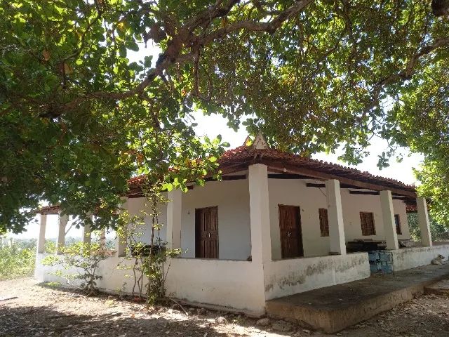 Fazenda com 187 Hectares em Demerval Lobão - Lado Zona Urbana  - Foto 4