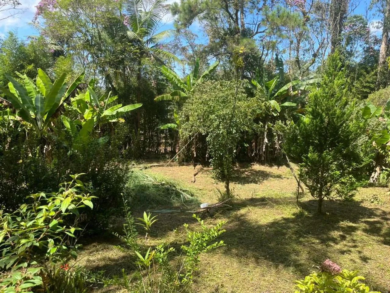 Chácara Embu Guaçu Com Escritura - Foto 10