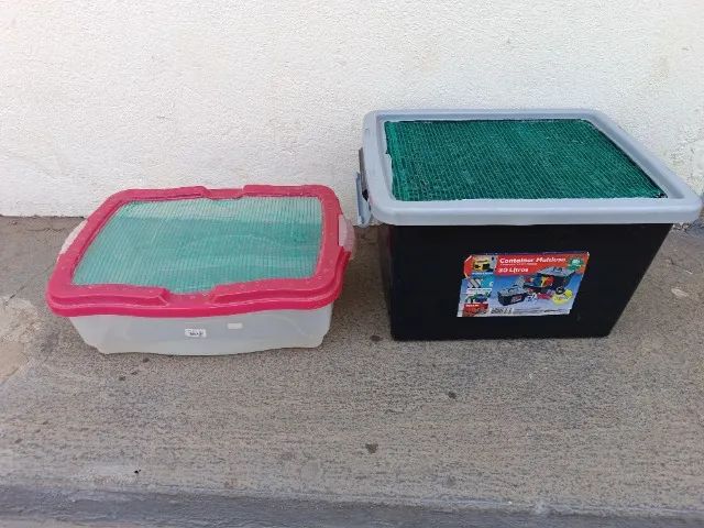 Caixa para criação de insetos - Foto 3