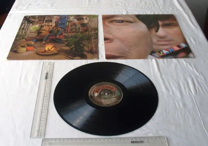 Disco Vinil - Evandro Mesquita - Evandro - Anos 80 - Foto 5