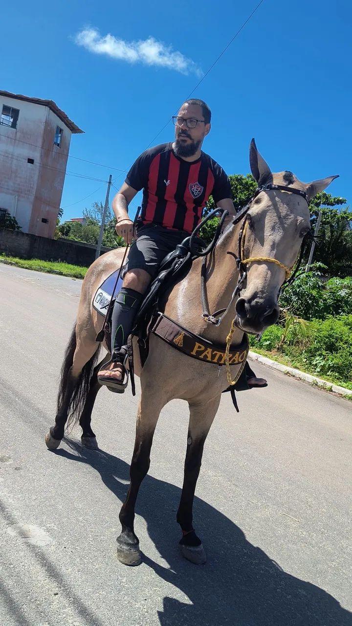 Vendo égua linda, muito dócil - Foto 2