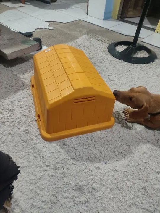 Casa para seu pet - Foto 2