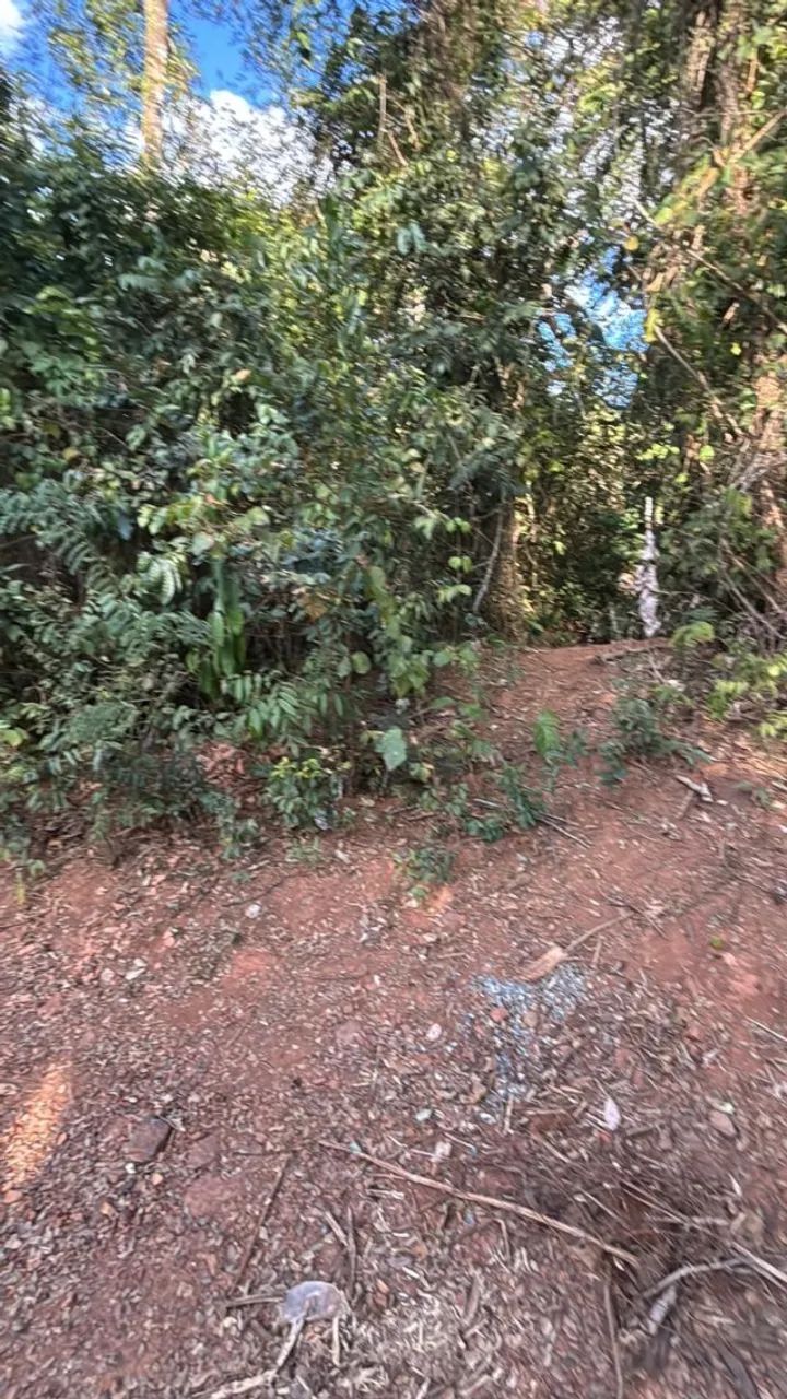 CHÁCARA EM BRUMADINHO  ESTRADA DE SUZANO!!! - Foto 7