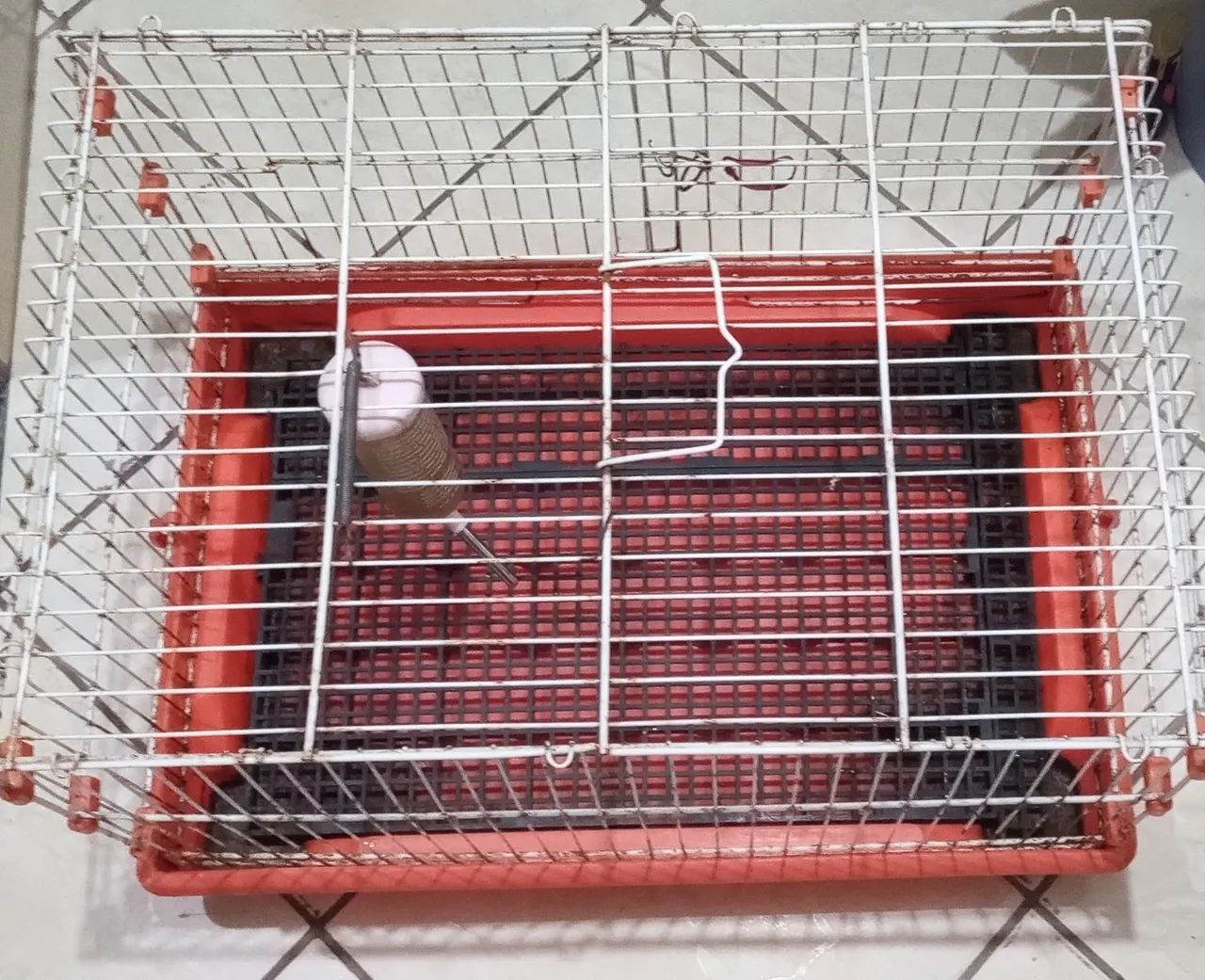 Gaiola para porquinhos da índia. - Foto 2