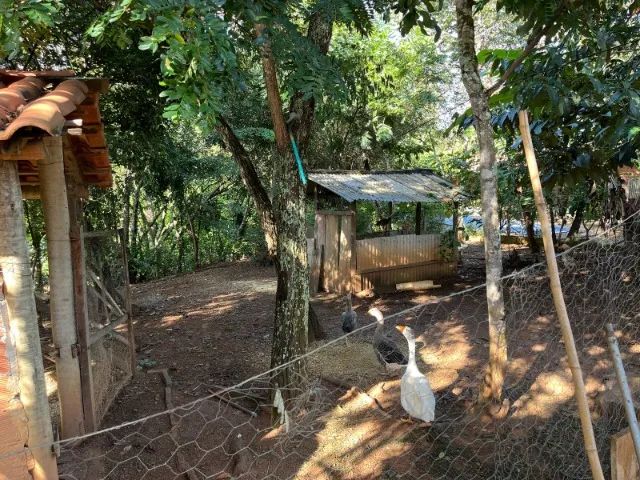 Chácara 2300m², Córrego, Casa, Área Gourmet, Pomar, 800m asfalto, Oloana. - Foto 5