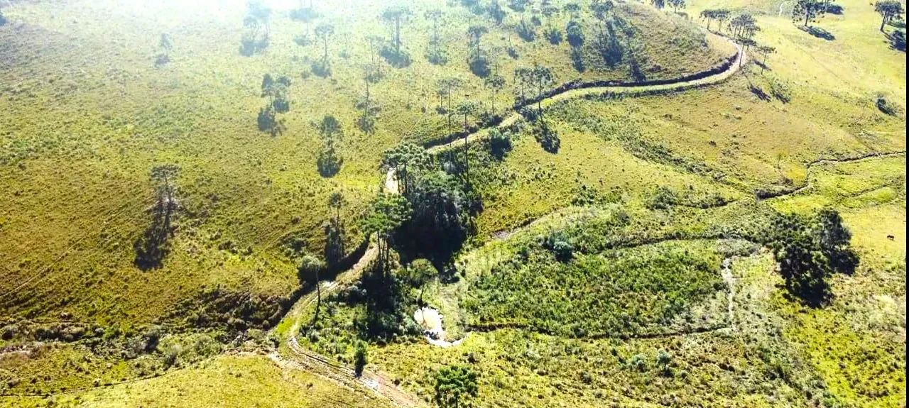 Fazenda em São Joaquim- Serra Catarinense- 182 hectares - Foto 3