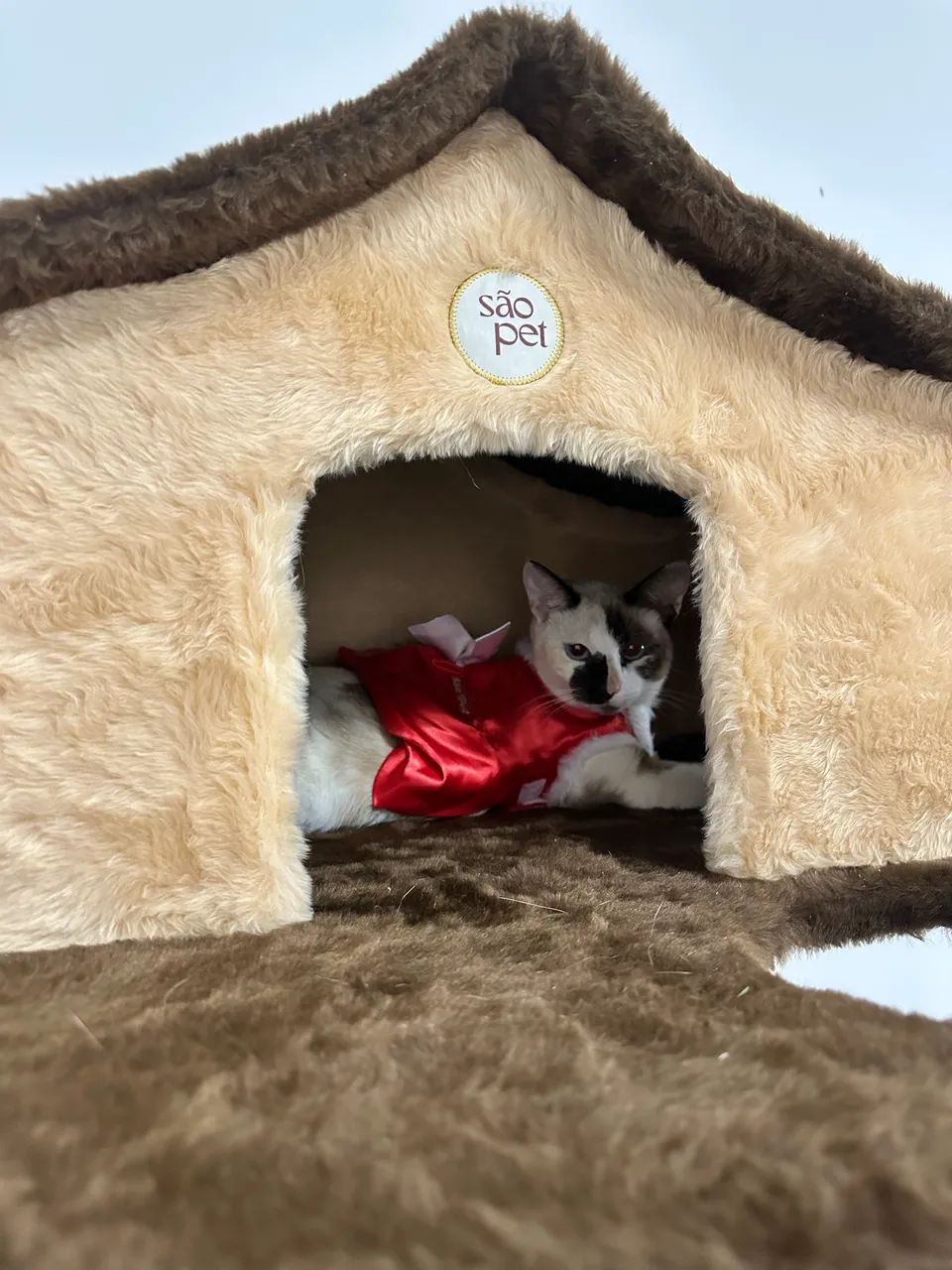  vende se casa para gatos - Foto 3