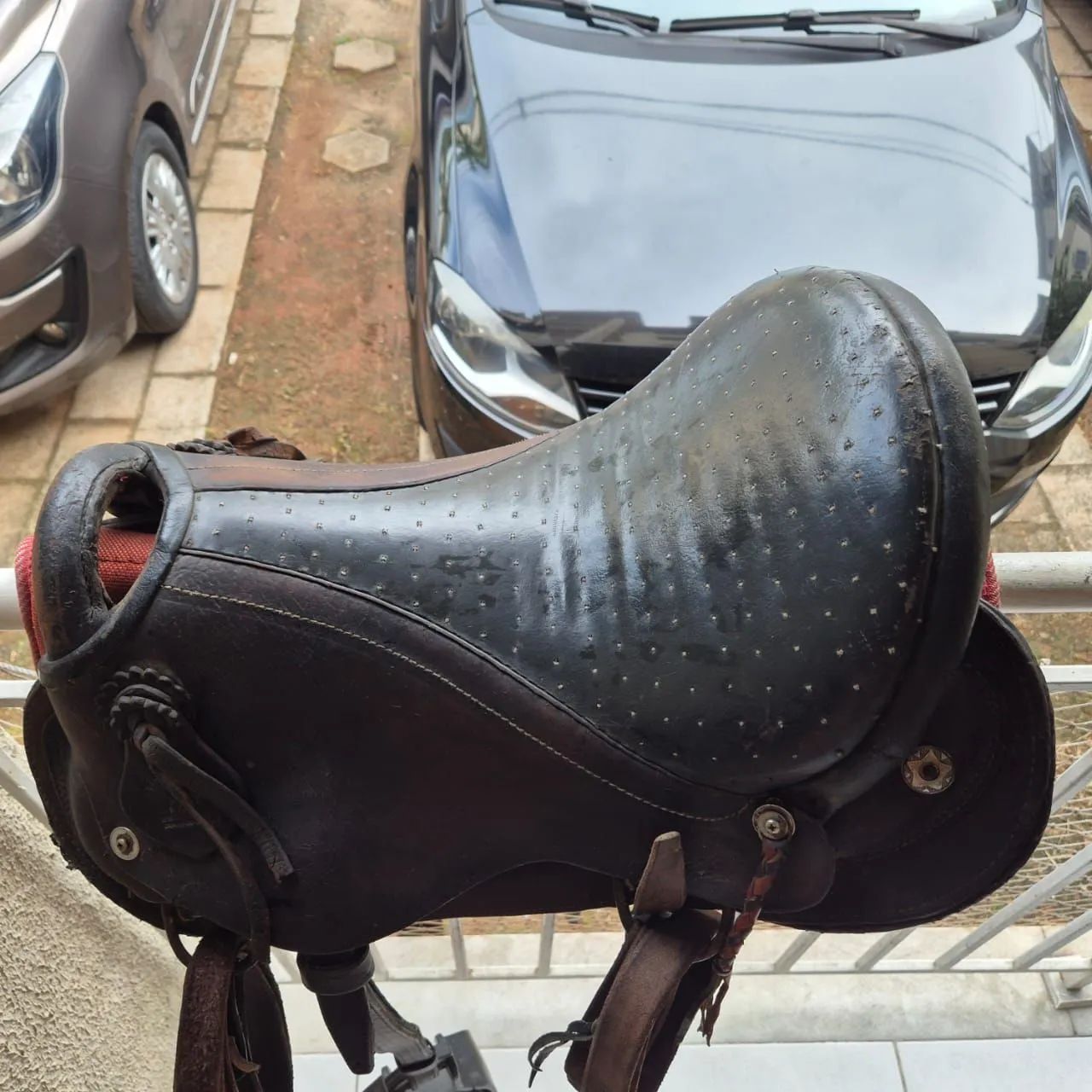 Sela de Cavalo - Foto 2