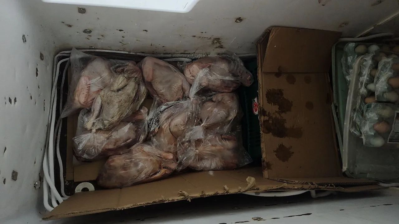 Freezer horizontal 600l - Foto 2