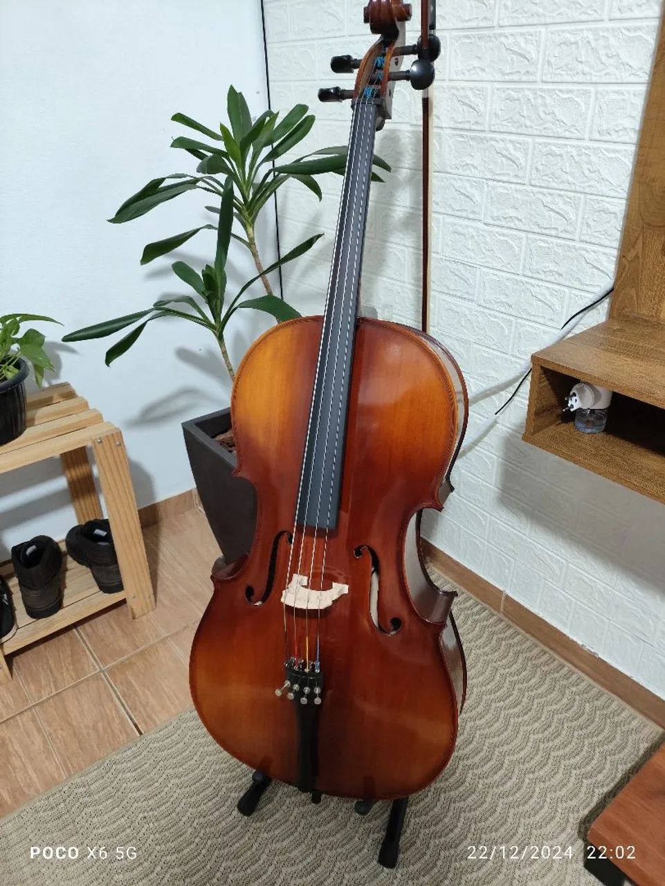 Violoncelo Michael VOM140 ajustado ( Fábio Vanini )