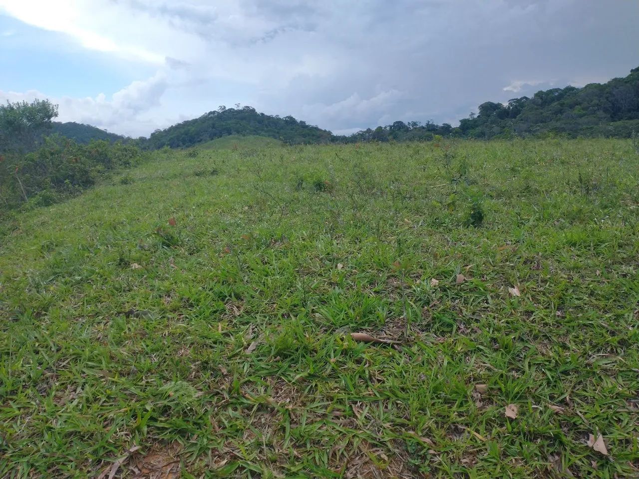 Fazendinha 15 Alqueires Cariacica  - Foto 8