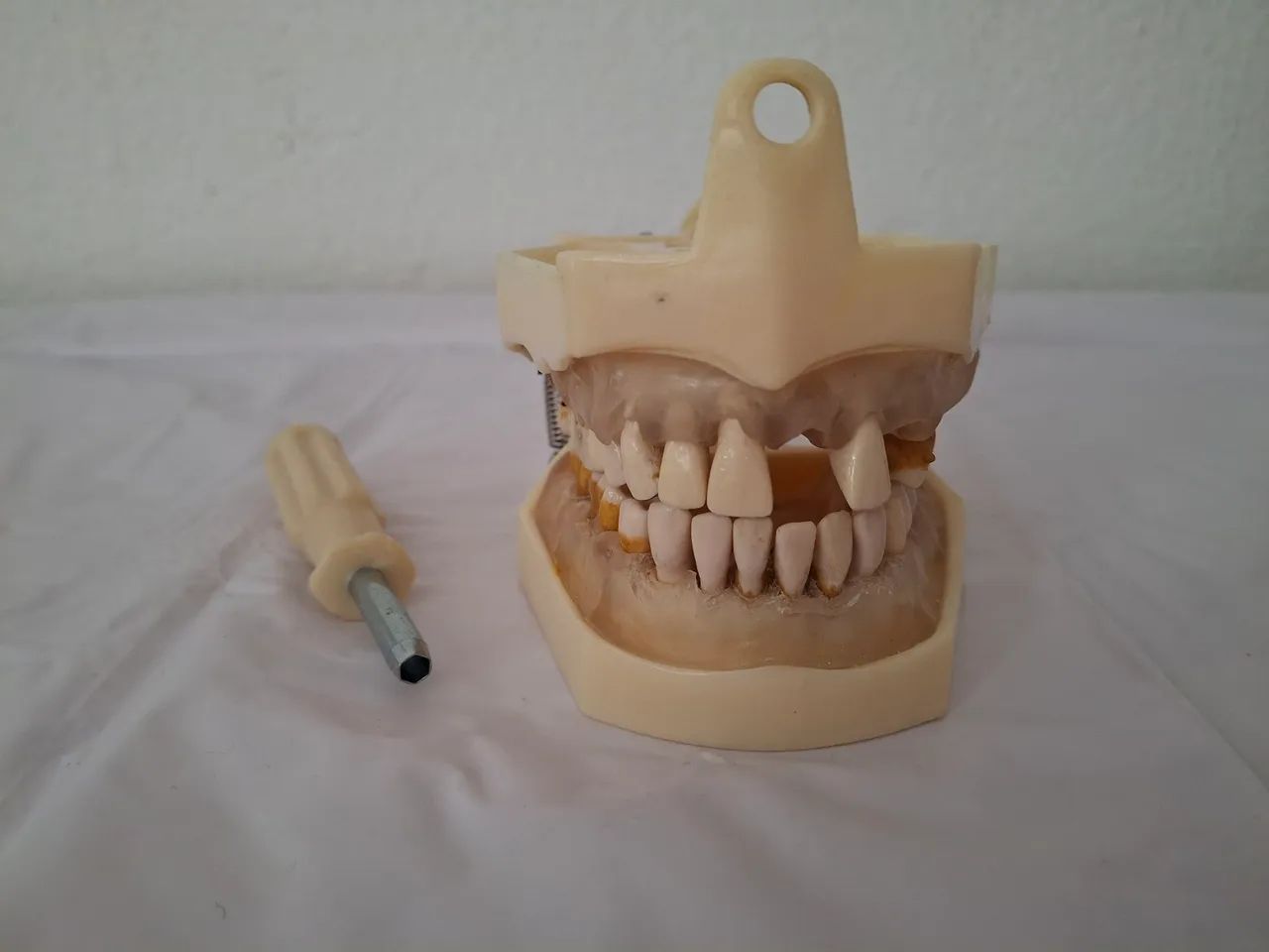Manequim Dent-art Periodontia - Foto 2