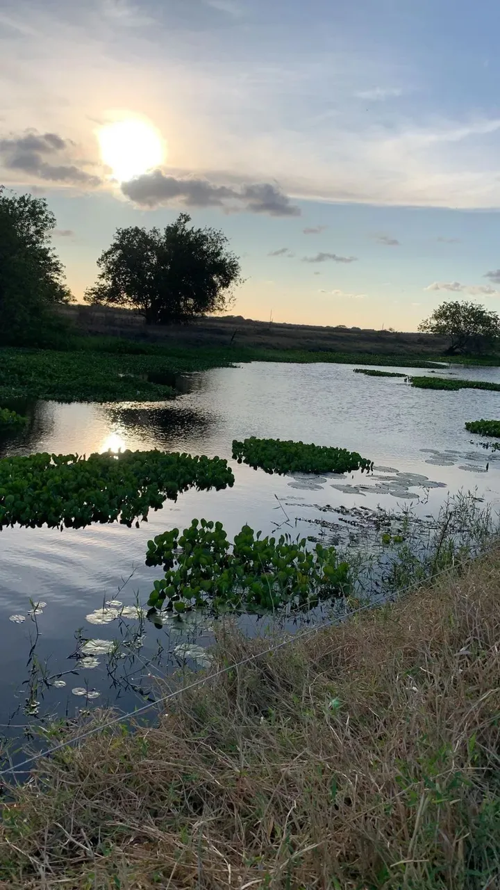 fazenda no vale de Ceara mirim-RN riquíssima em água e em estrutura