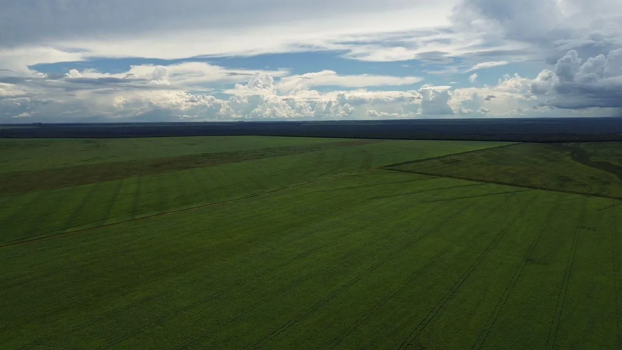Fazenda de arrendamento 3.630hec plantando em campo novo de Parecis MT. Grade: 12 sacas
