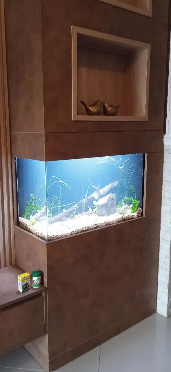Aquários, móveis,  acessórios. Ração. Sob medida,  Aquários  - Foto 5