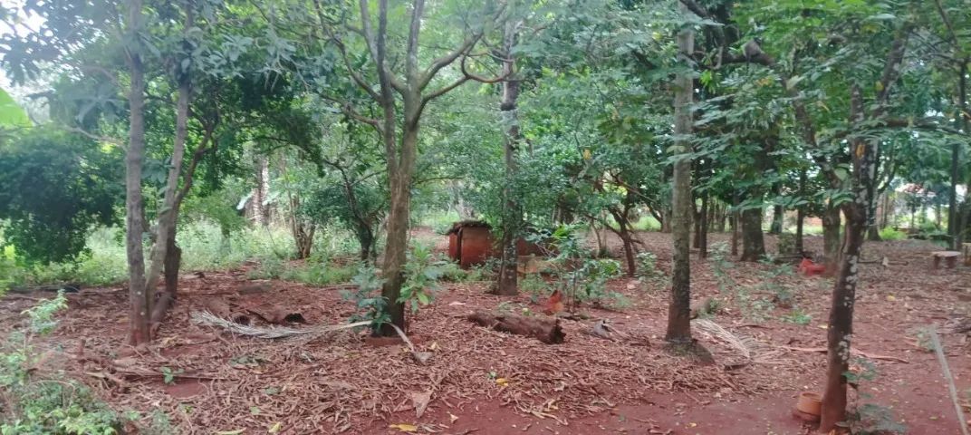 Chácara Lote Estrela Dalva  Próximo Av. Goiás - Foto 4