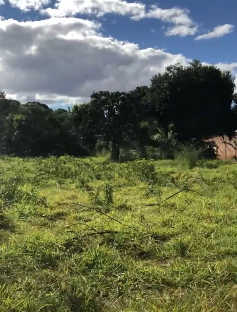 Foto - Uberlândia - Brasil