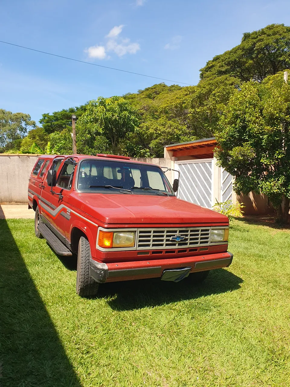 CHEVROLET D-20 1990 Usados e Novos