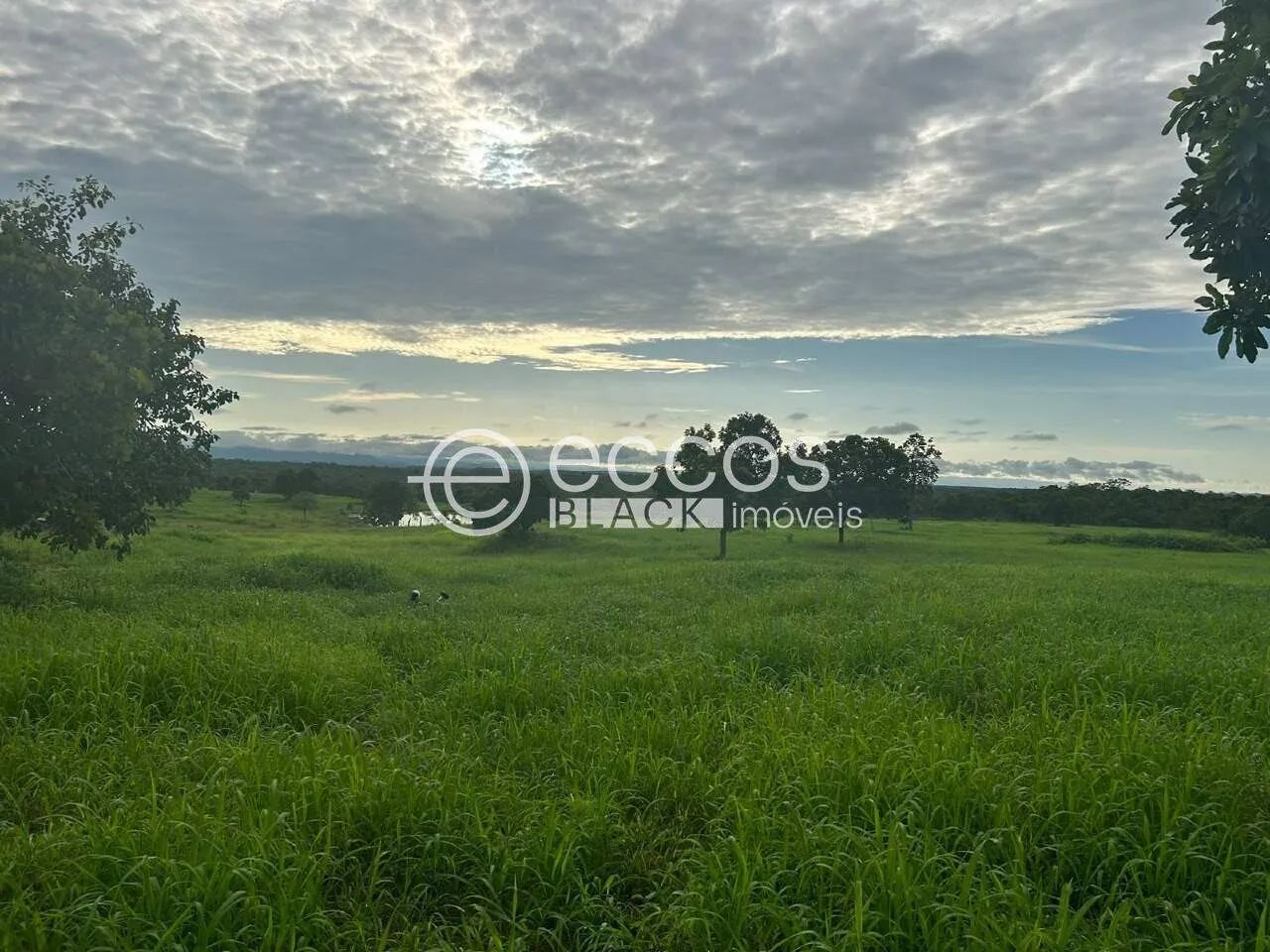 Fazenda à venda, Área Rural - Paranã/TO - Foto 5