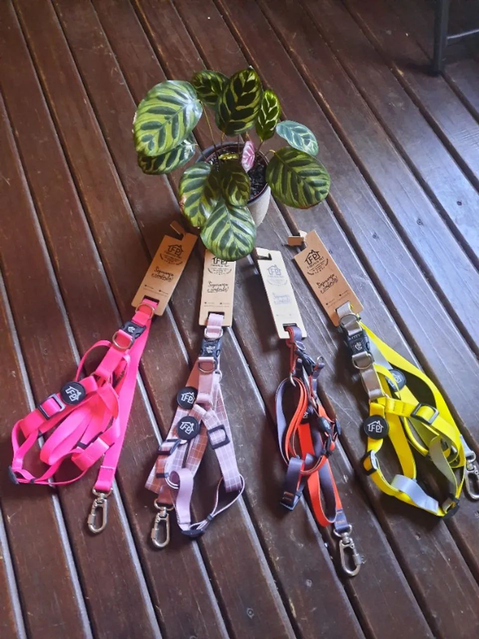 Kit de acessorios para pet shop - Foto 3