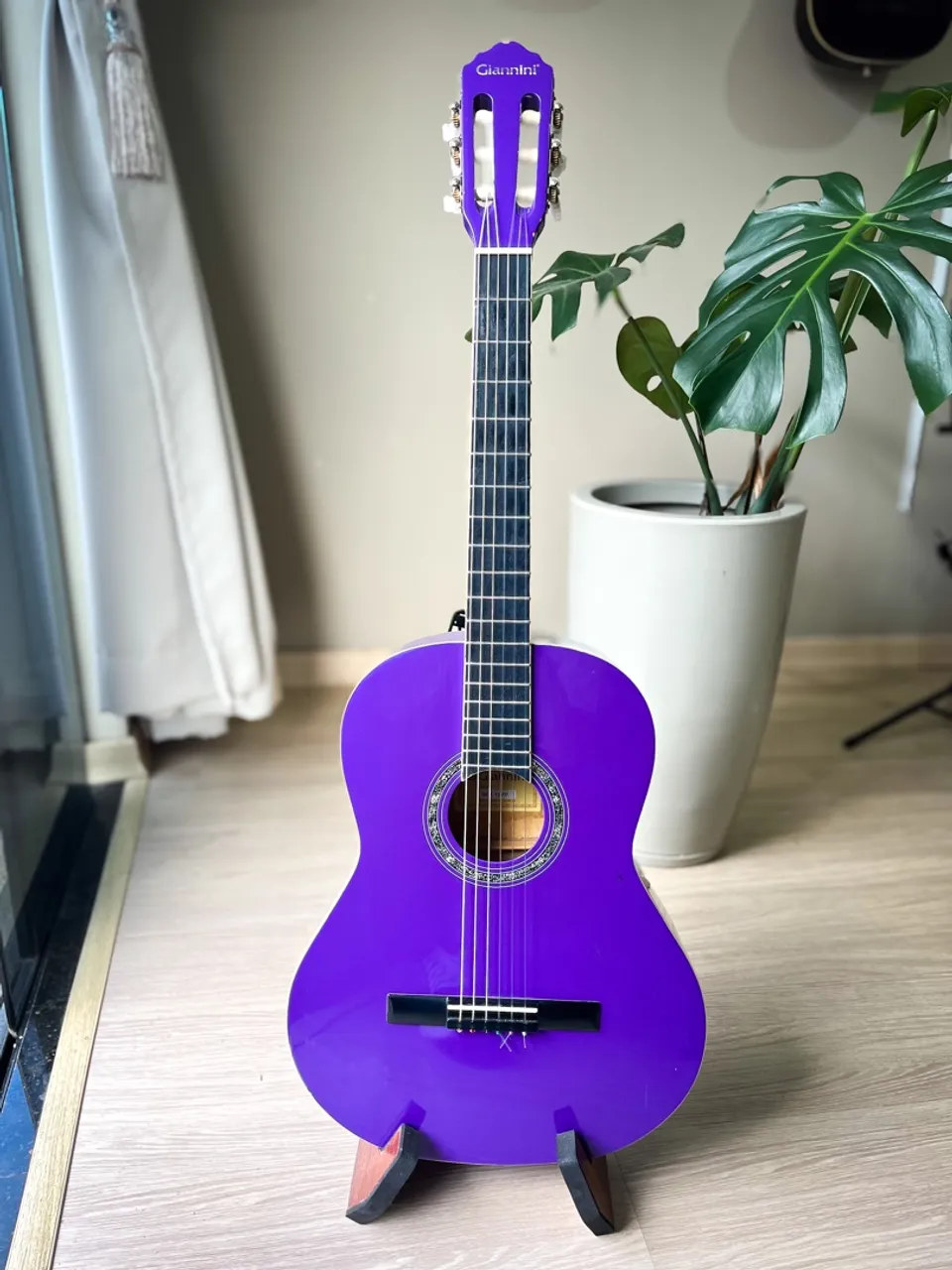 Violão Giannini Roxo