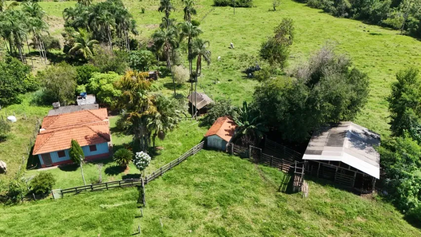 Chácara de 50 hectares em Jaraguari-MS Com Ótimo Preço!