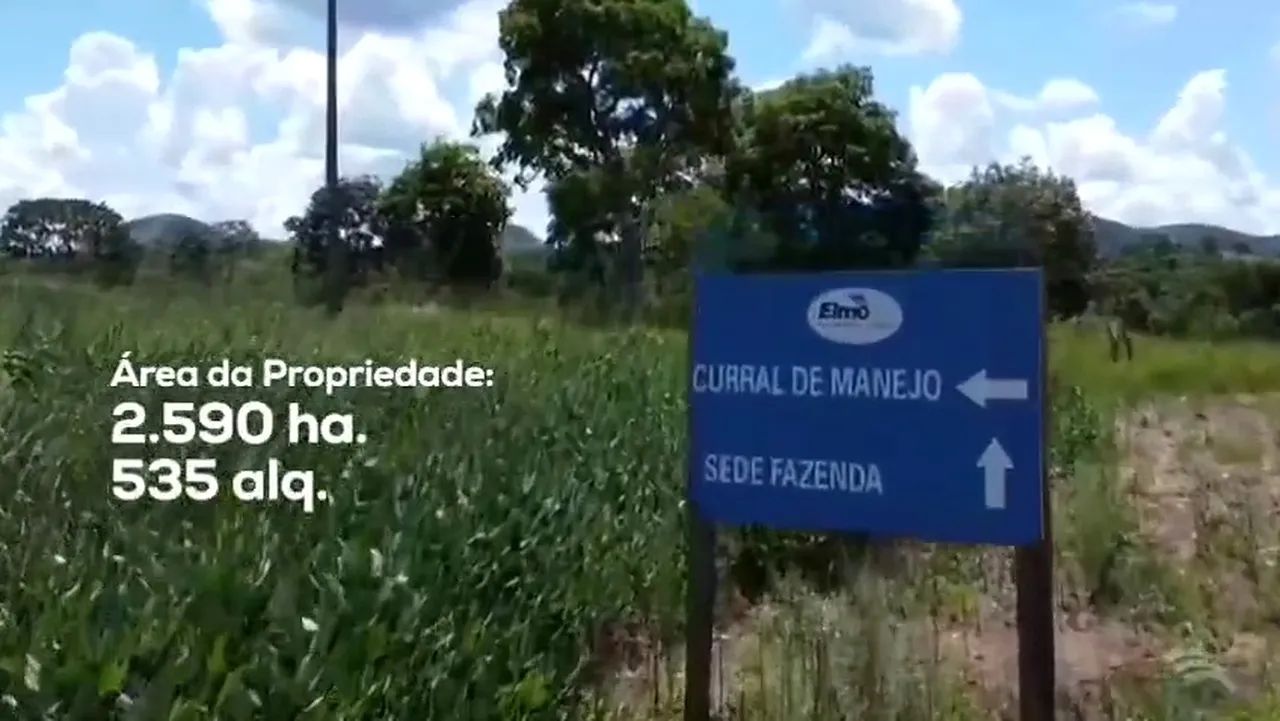 Fazenda Santa Helena/Vila propício GO - Foto 3