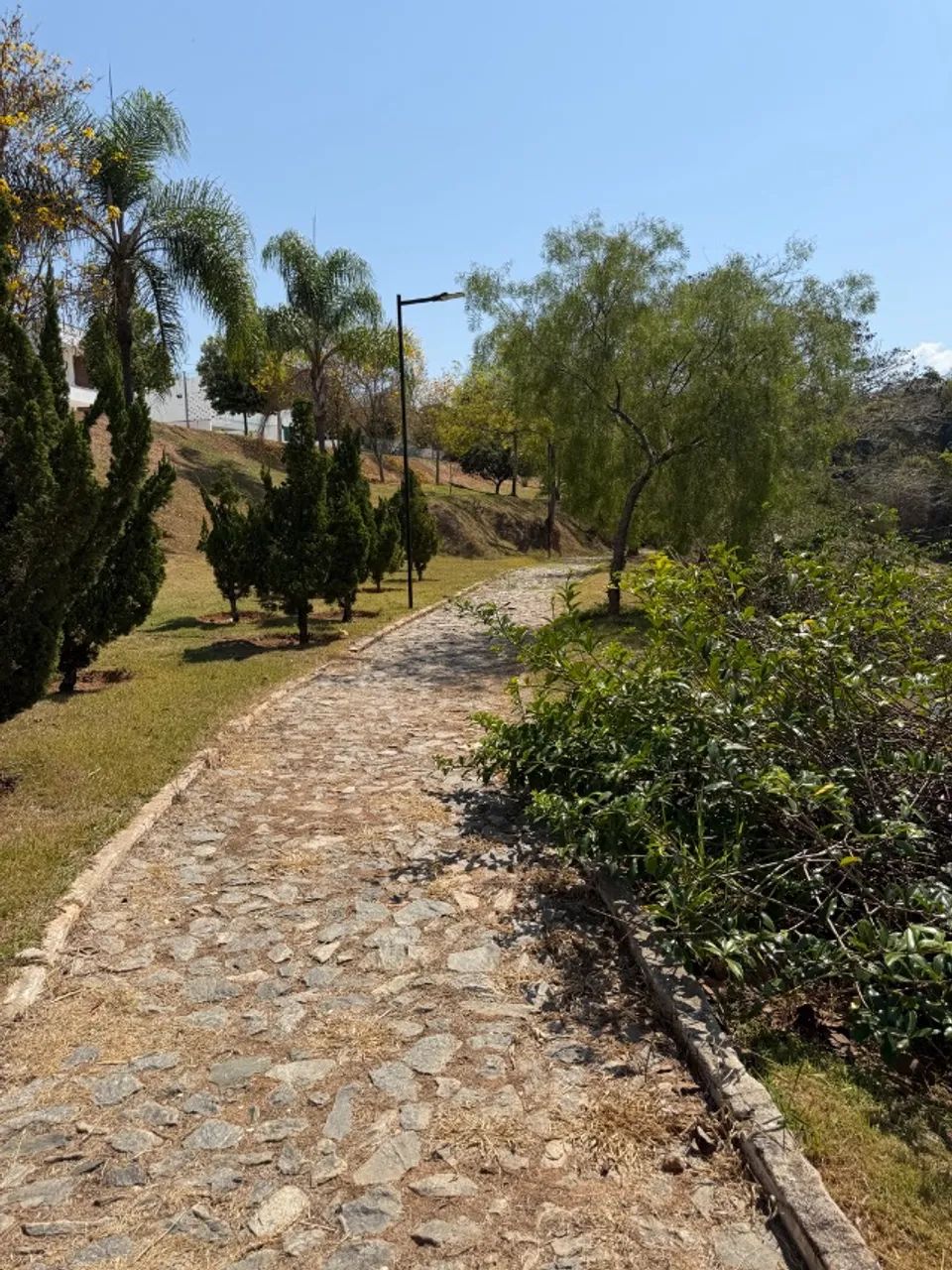 Terreno lote em Santa Luzia - Foto 3