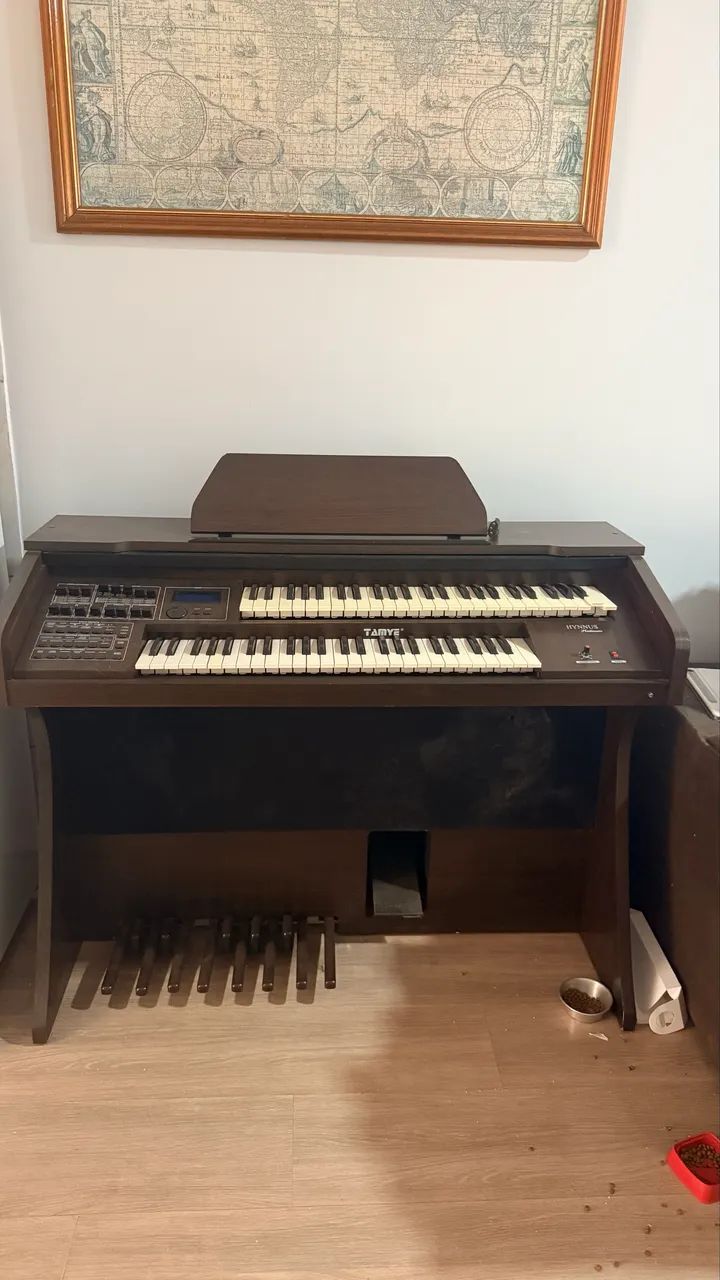 Órgão musical