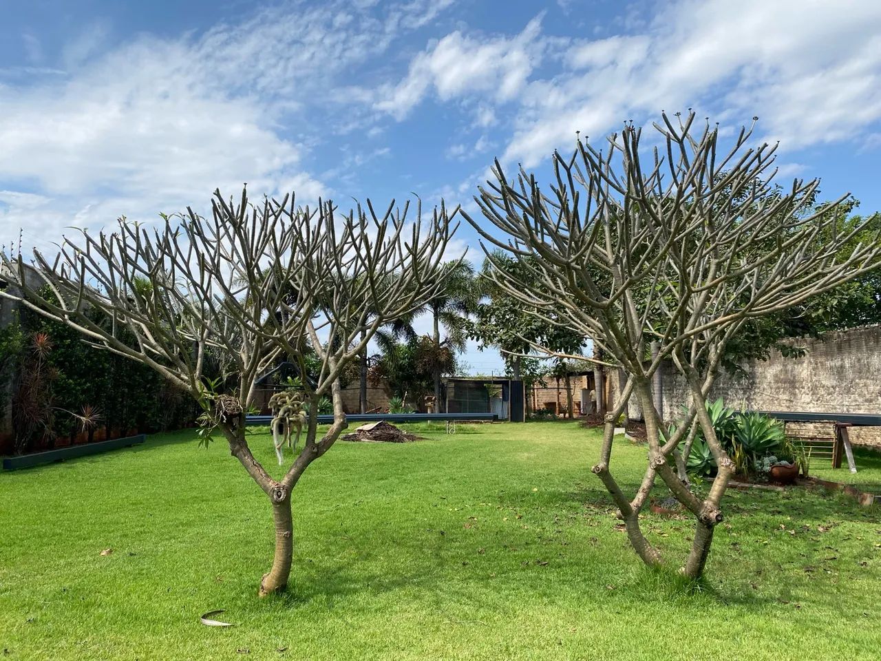 Terreno Comercial/Residencial 1.076m² - Av. das Torres? - Foto 5