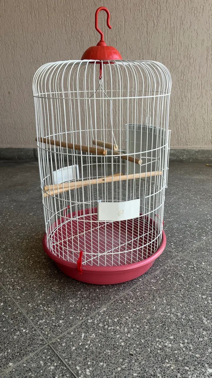 Gaiola piu piu - Foto 2