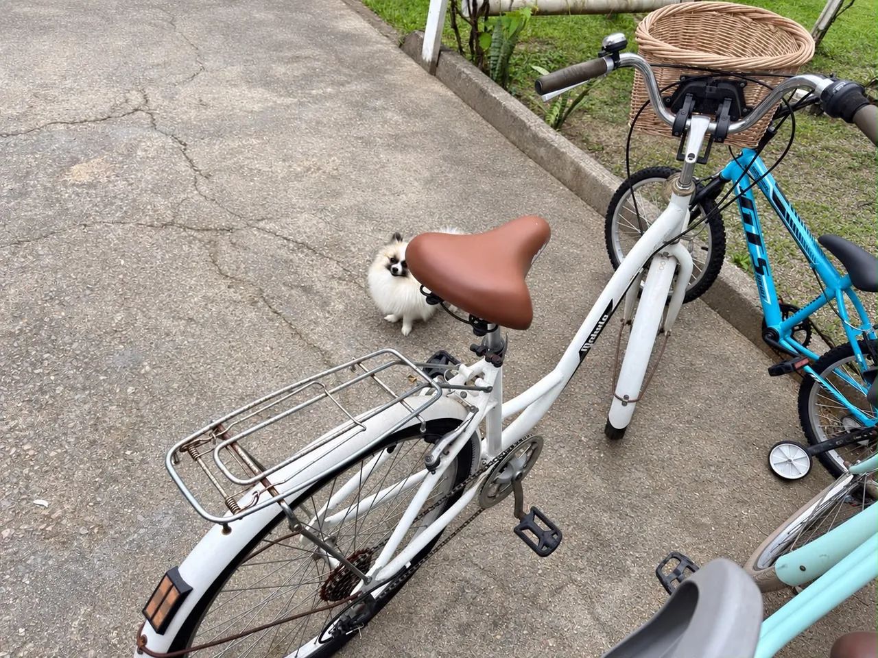 Vendo bike retrô 