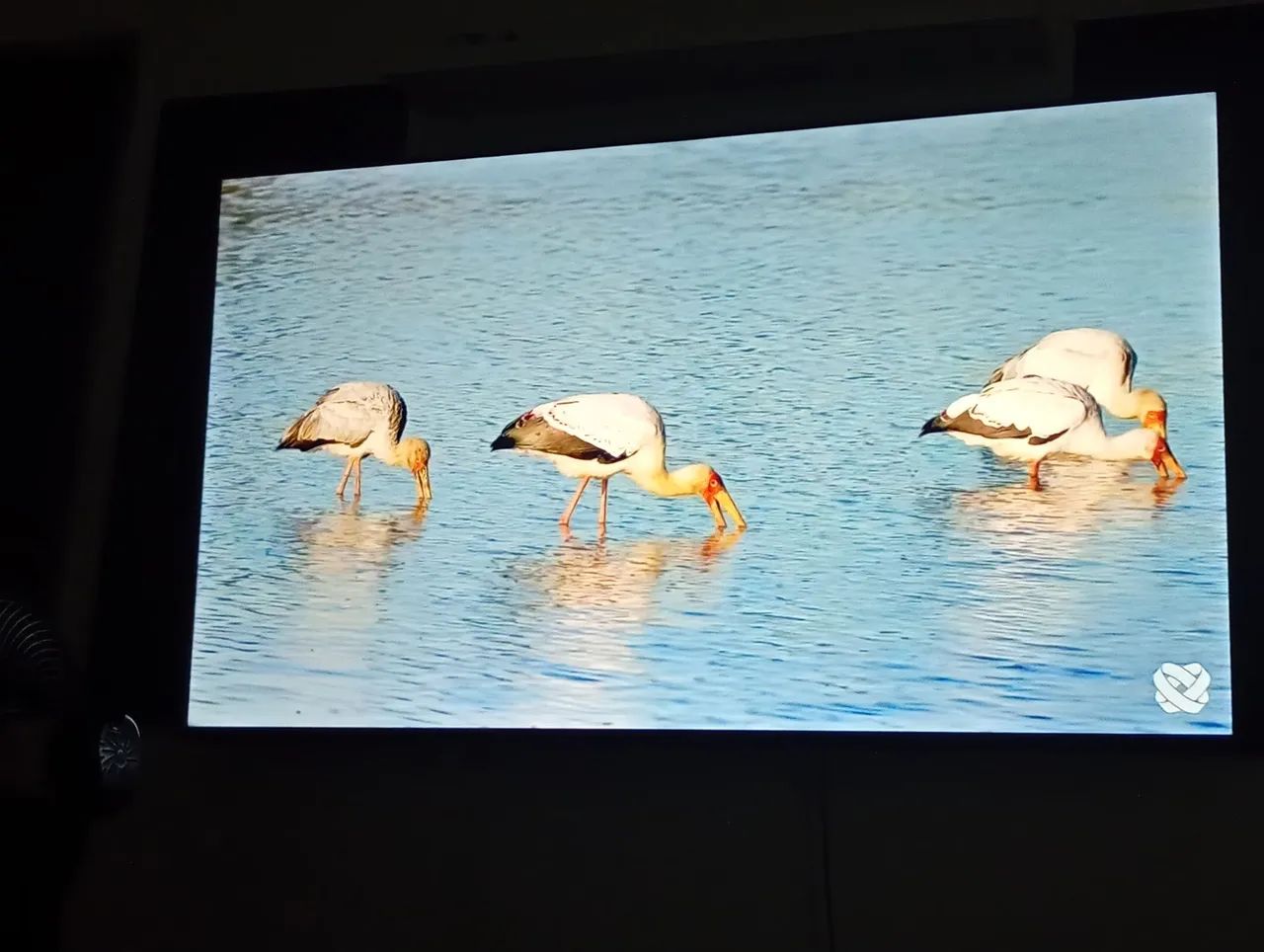 Vendo tv smart 58 polegadas, não tem nem um ano de uso perfeita valor 2400....aceito propo - Foto 4