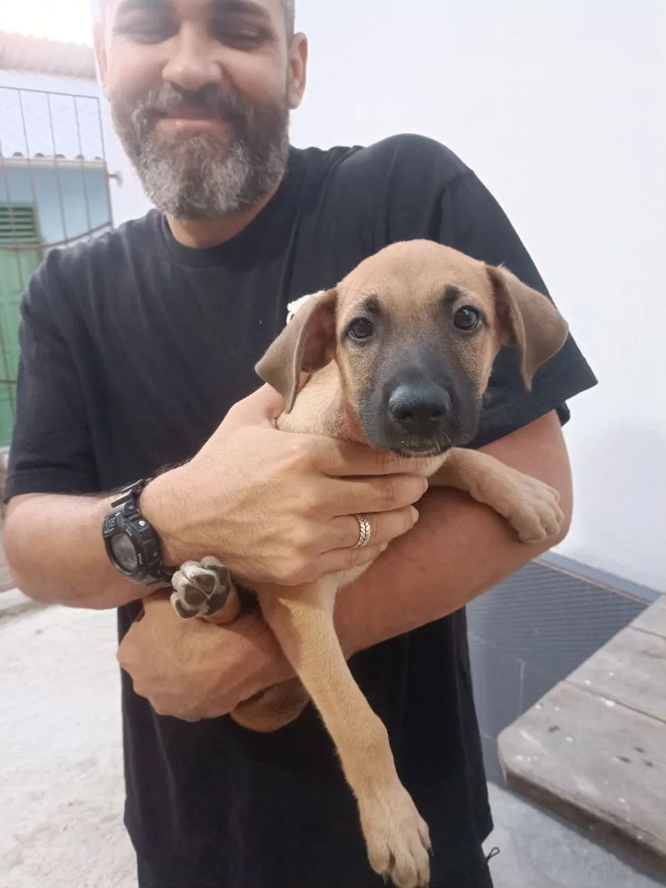Adoçao responsável  - Foto 3