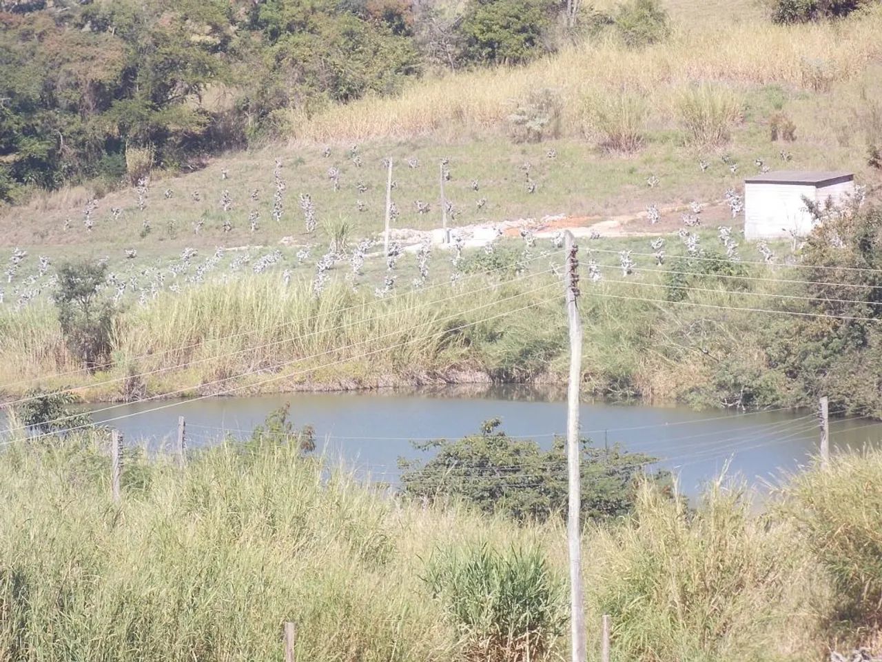 SÍTIO - MACUCO - SP - Foto 4
