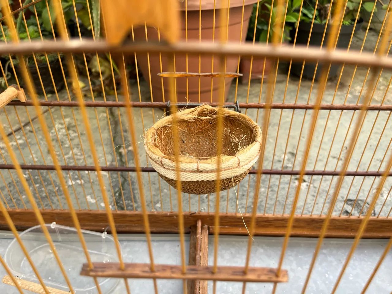 Gaiola - Foto 3