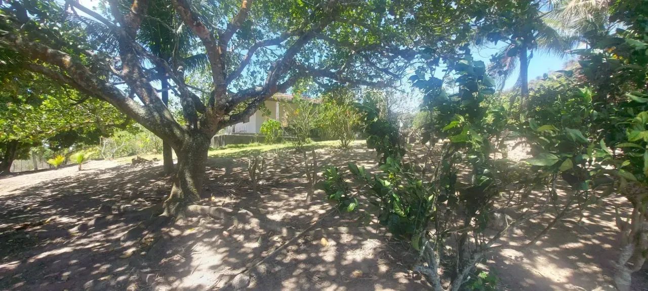 Fazenda à Venda Em Capela - Foto 2