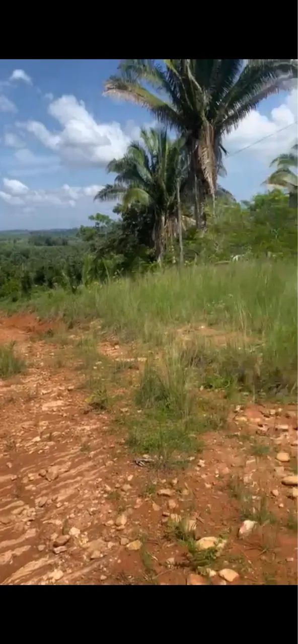 Foto - Parauapebas - 