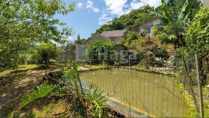 Sítio à venda em Blumenau/SC - Foto 2