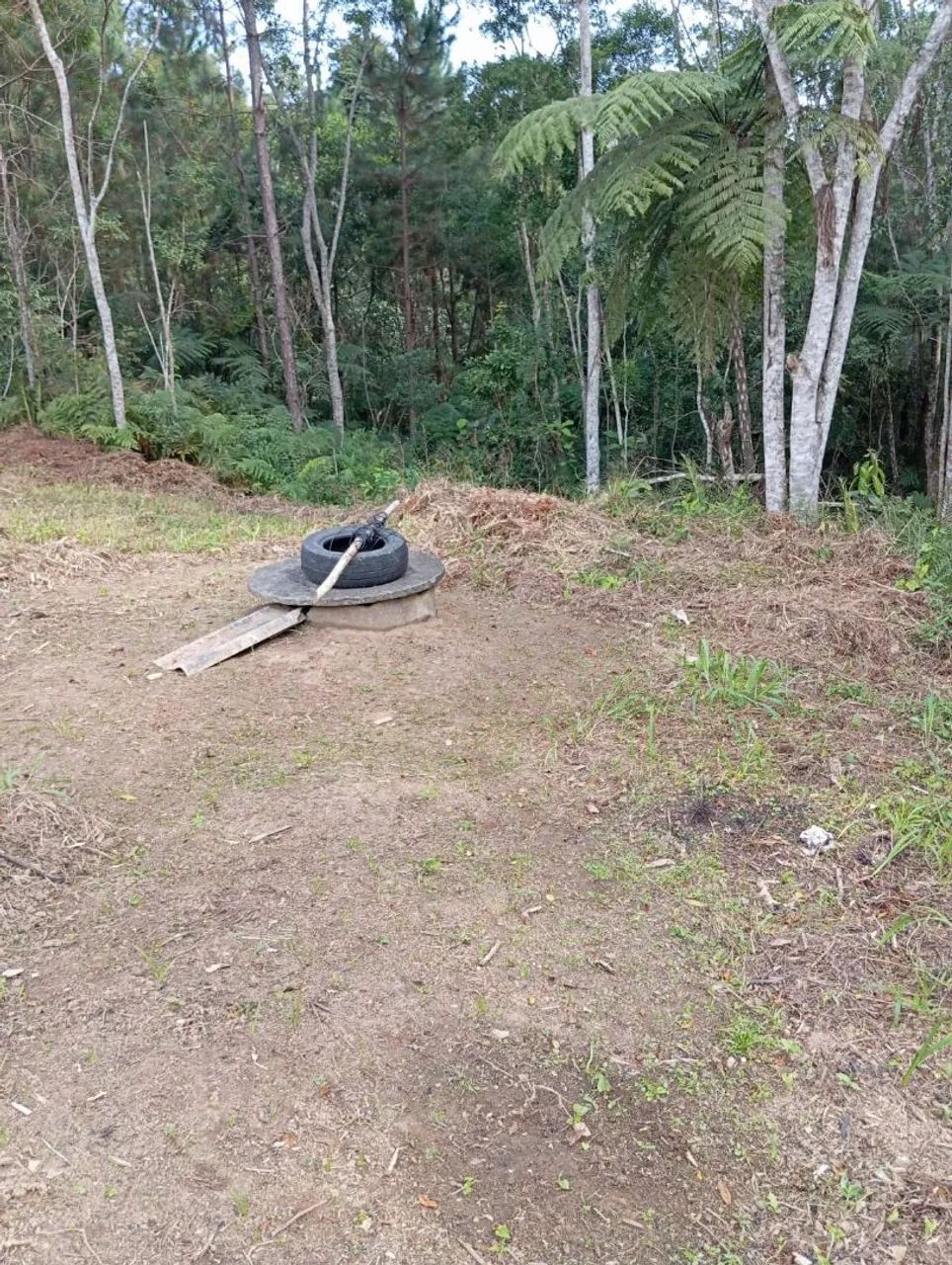 Área de 6.000m2 quadrados  - Foto 3