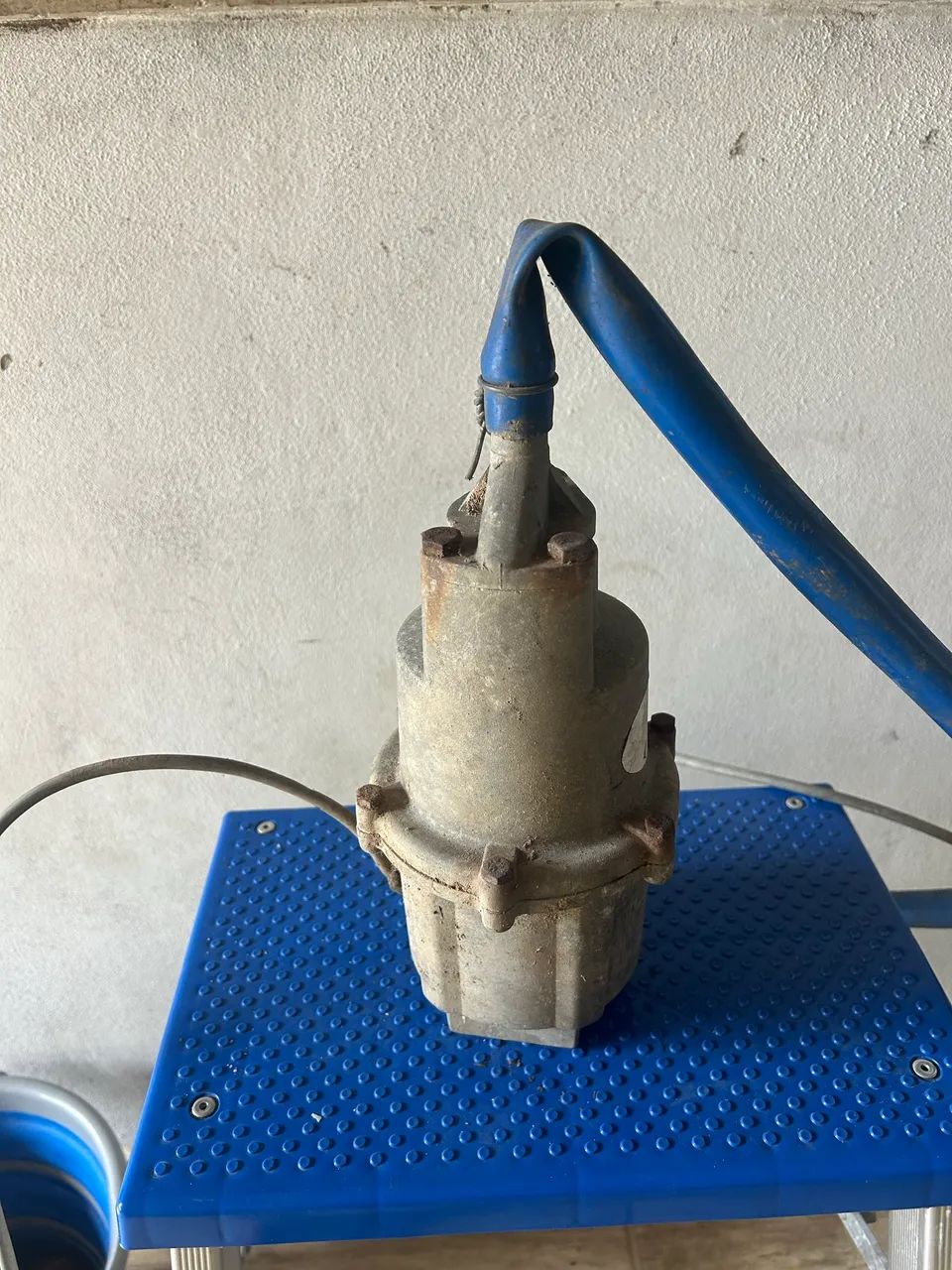 Bomba sapinho