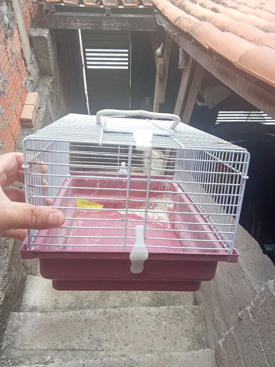 Gaiola para roedores - Foto 4