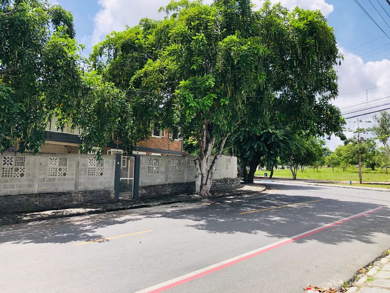 Kitnet Charmosa e Aconchegante em Rua Arborizada - Ambiente Tranquilo e Ventilado - Foto 4