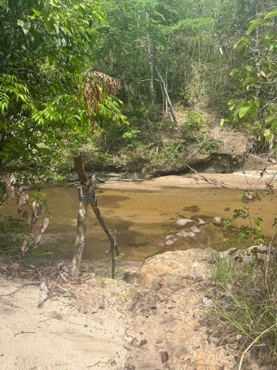 Chácara com Rio no fundo em Faina GO  - Foto 3
